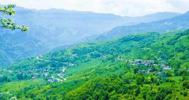 mg����ͻ��(�й���)�ٷ���վ