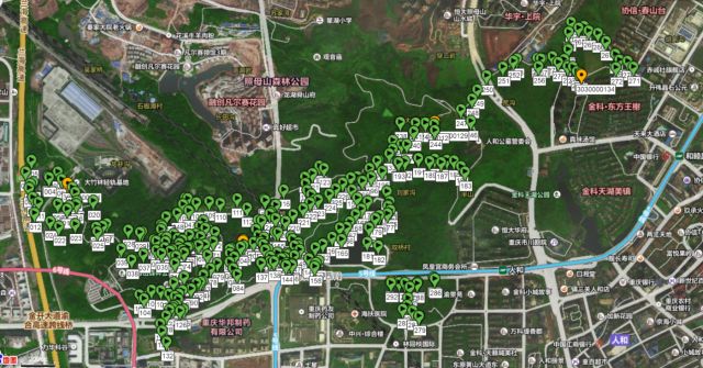 ɭ�ֻ��ּ�������