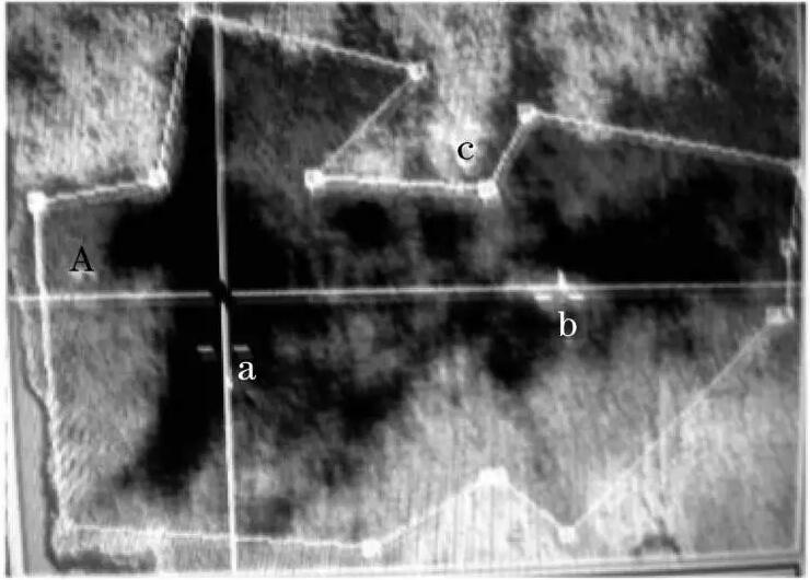 mg����ͻ��(�й���)�ٷ���վ