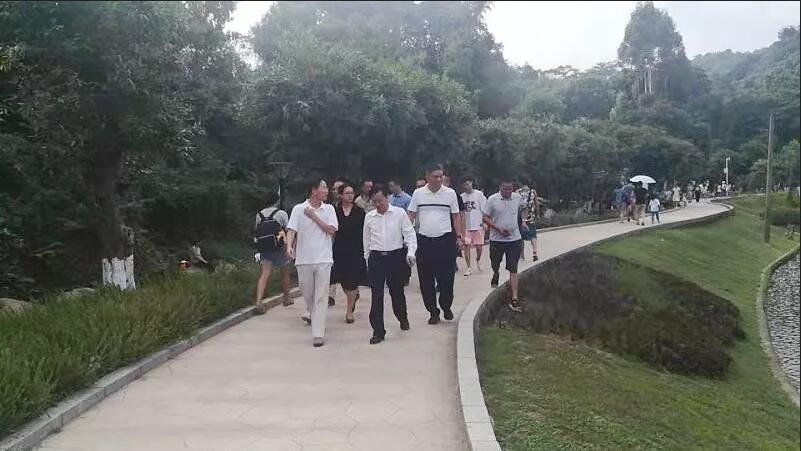 ɭ�ַ�������ǿ��������������ƽ���ο���������