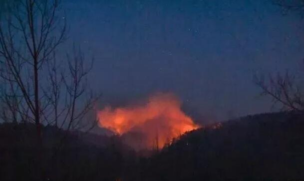 ɭ�ַ������ӳ��� ����Щ��ʾ���������ս�ѵ��