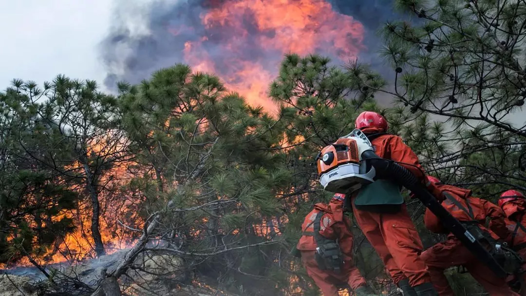 mg����ͻ��(�й���)�ٷ���վ