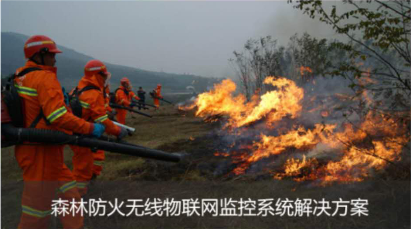 ɭ�ַ�����ϵͳ