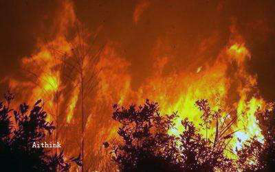 ɭ�ַ�����ϵͳ��ɭ����Դ������������������������֮��