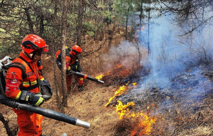 ���ɹſ�������ɭ�ֻ��֣�������ɱ������Ҫ