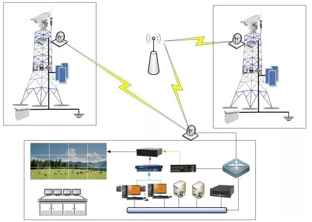 ����ɭ�ַ�����Ƶ���