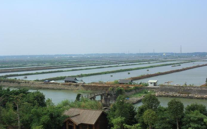 ����˫������̨�����