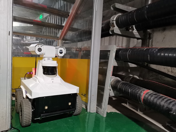 ?�鿱�ӽǡ�����Ѳ���е���������