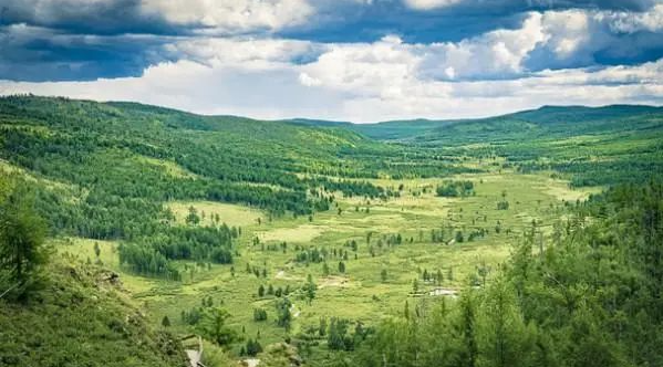 ?�����ۡ�ʶ���������������������ɹŰ���ɽɭ�ֲ�ԭ������Ƶ���ϵͳ