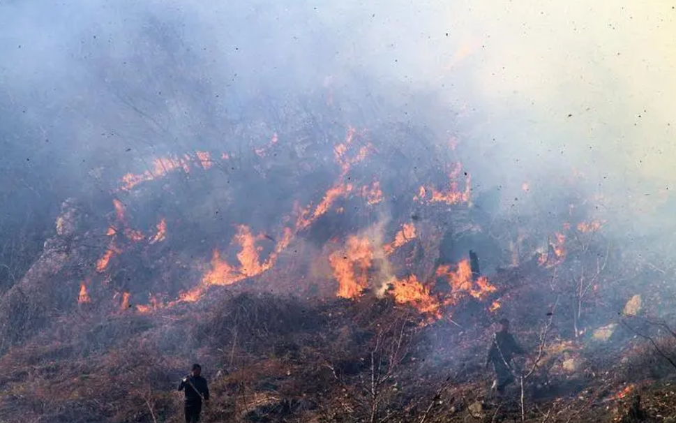 10kmɭ�ַ��������