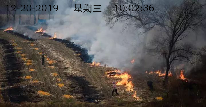 ɭ�ַ���Ԥ�����ϵͳ��ʹ�õ���������̨�����������ʲô���ã�