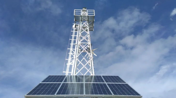 ����ɭ�ַ���ƻ�