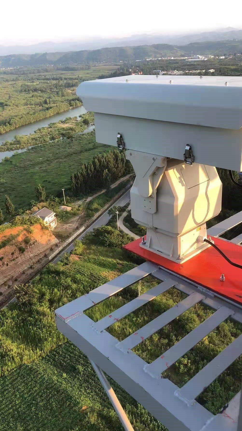 ����ɭ�ַ���ƻ�