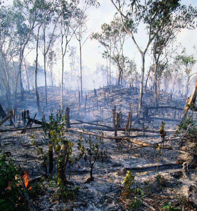 �����ȳ��������