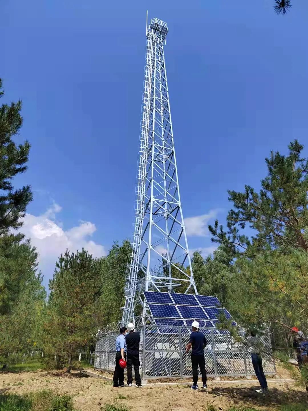 ˫����ɭ�ַ����������ô�����˻��໥��Ͼ���ȫ��λ���ּ��