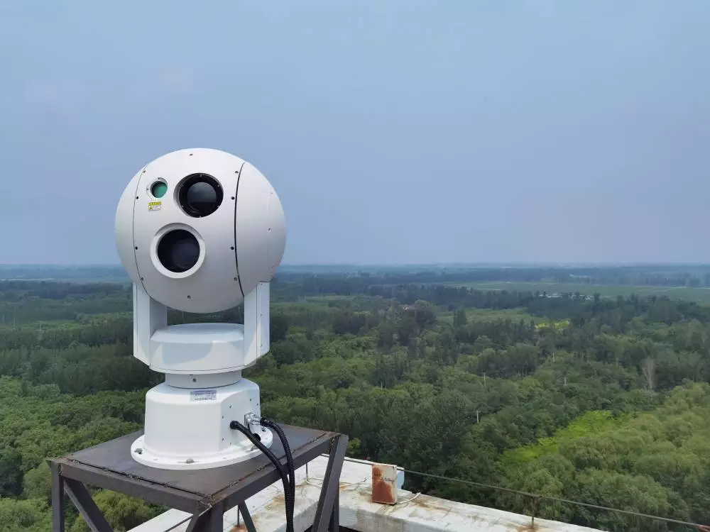 ɭ�ֻ��ּ�������ɭ�ַ���Ԥ��������ƻ�֮��ʩչ��������ɶ����������������