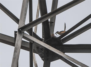 mg����ͻ��(�й���)�ٷ���վ