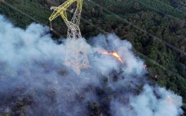 ��ѹ�����·�ܽ������Ȼ���������������������ǻ���Ƶ���˫�����ȳ��������