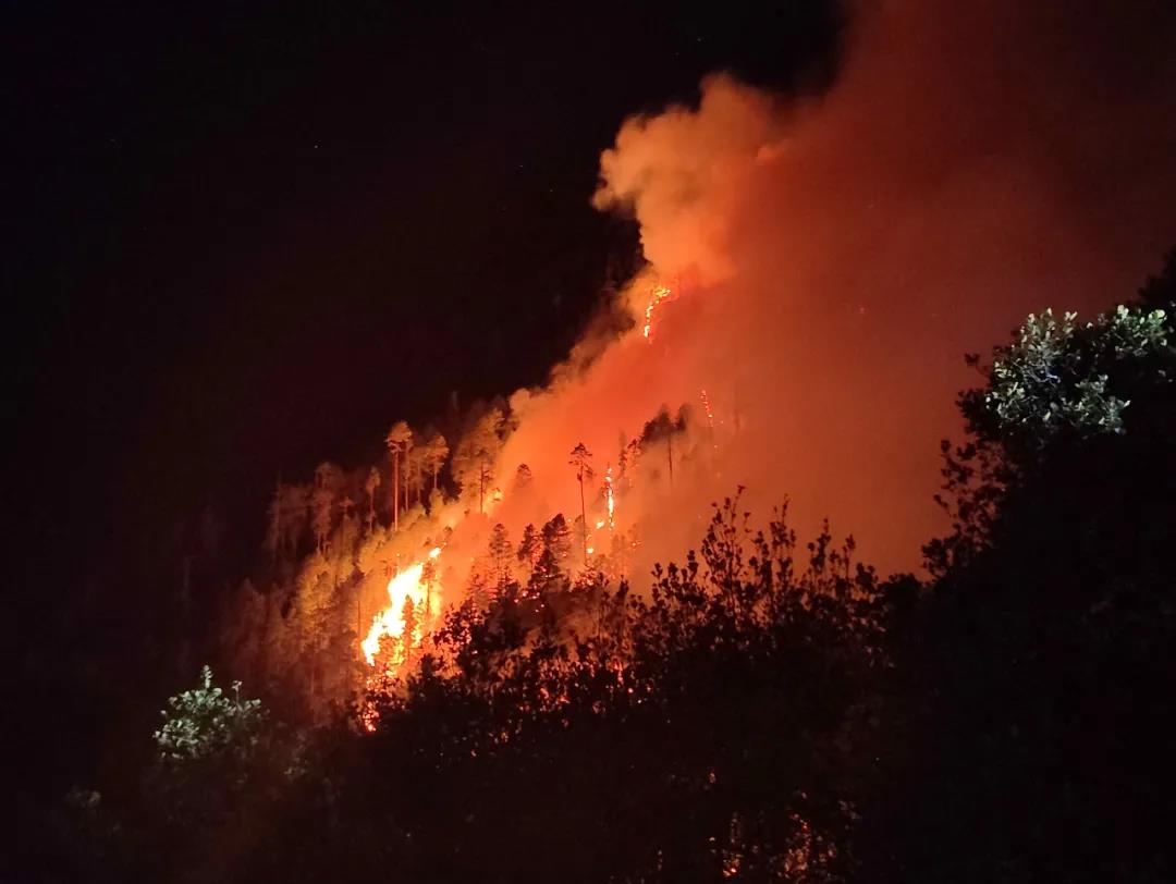 ɭ�ֻ���Ԥ����������