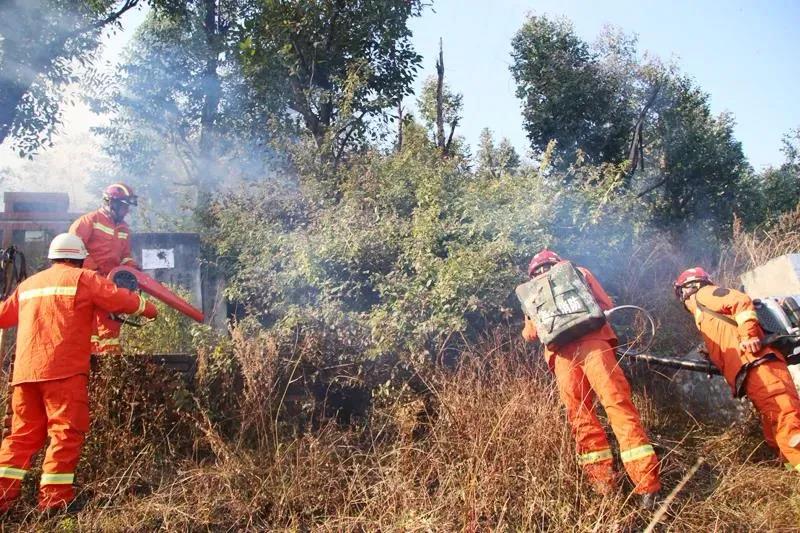 �Ĵ��Ž�����5000�׸߶ȵ�����������������Զ����˫��������̨�����������׹�Ч��������