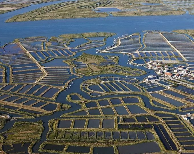 ����ҹ������ת̨�����