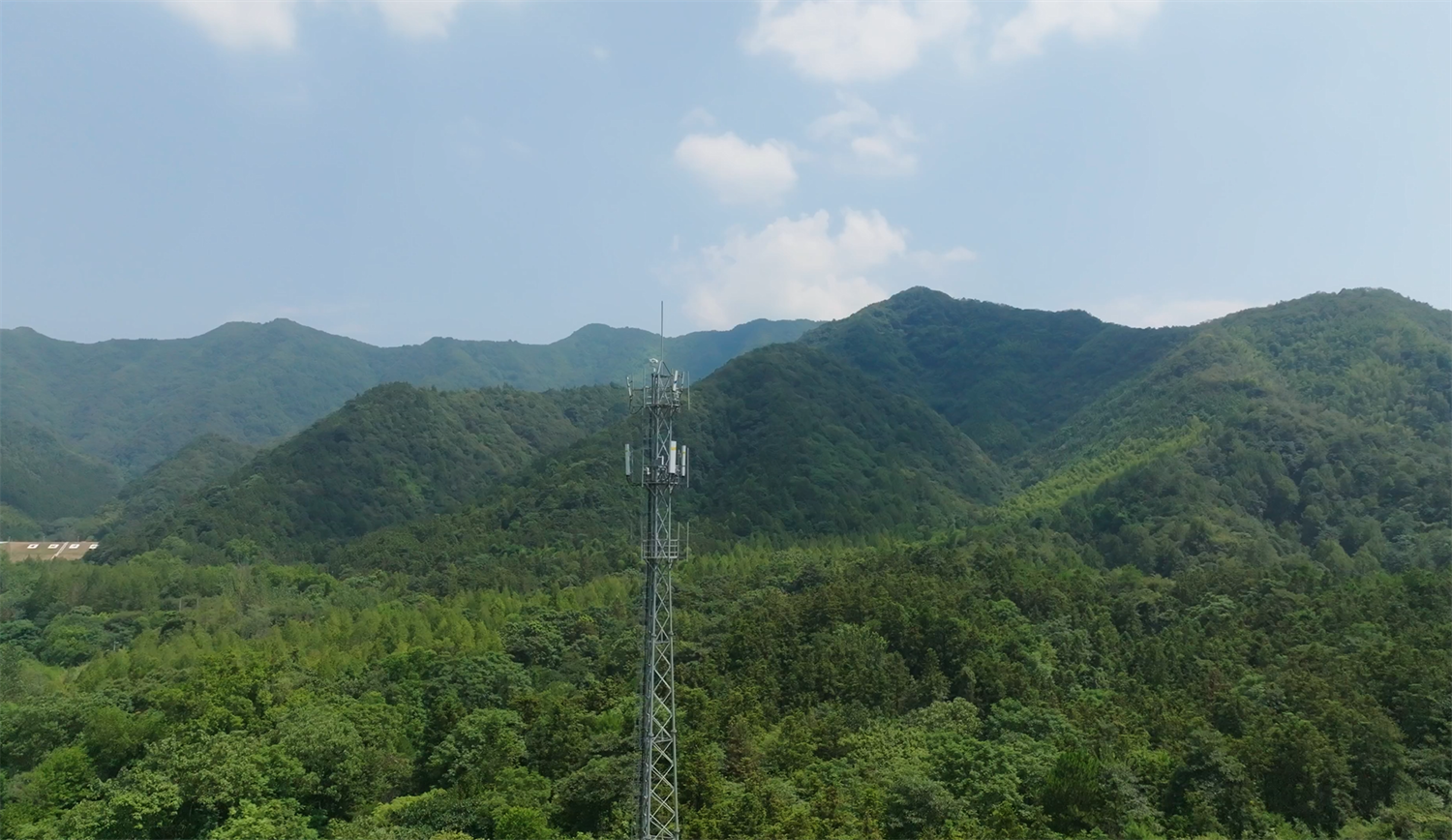 ɭ�ַ����������