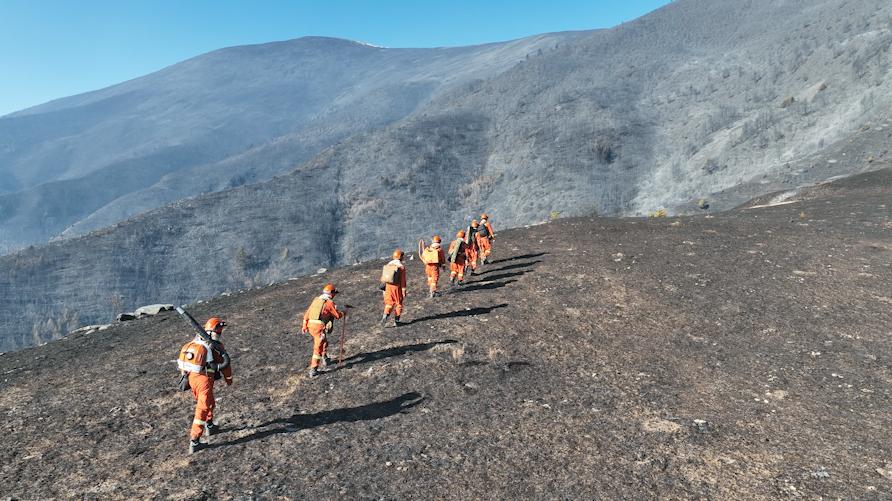 ˫о˫�Ӿࣺ�����ȳ�����ɼ�����ֵط���ʵʱ���ƻ�