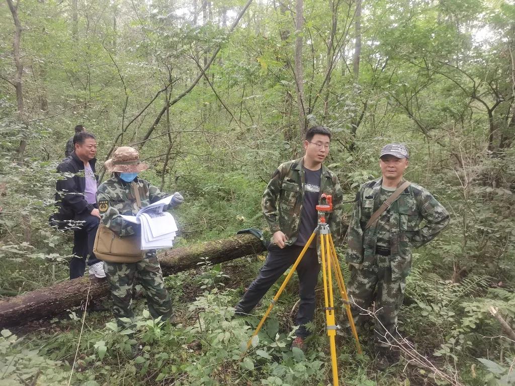 ��ά�Ƚ��룺ɭ�ַ������������ս�Լ�ֵ������ͻ��