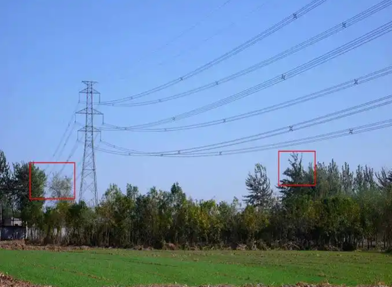 mg����ͻ��(�й���)�ٷ���վ