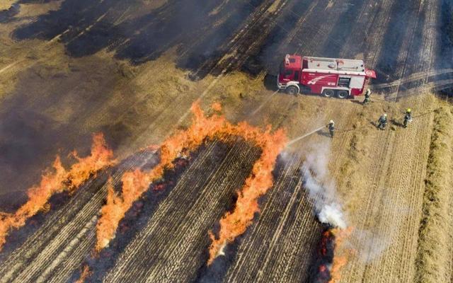 �ո�ȼ�վ�׼�����ɭ�ַ���Ԥ����������̨������������������������Эͬ�ƻ�