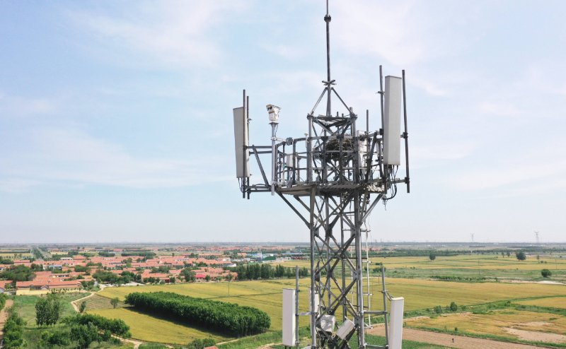 ���ﻥ�����磬��������רΪ���ɹŴ��ԭ���������ֵ�ط����ؼƻ�