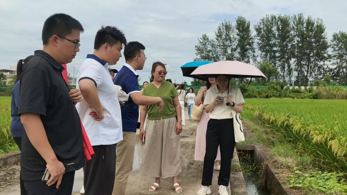 mg冰球突破(中国游)官方网站