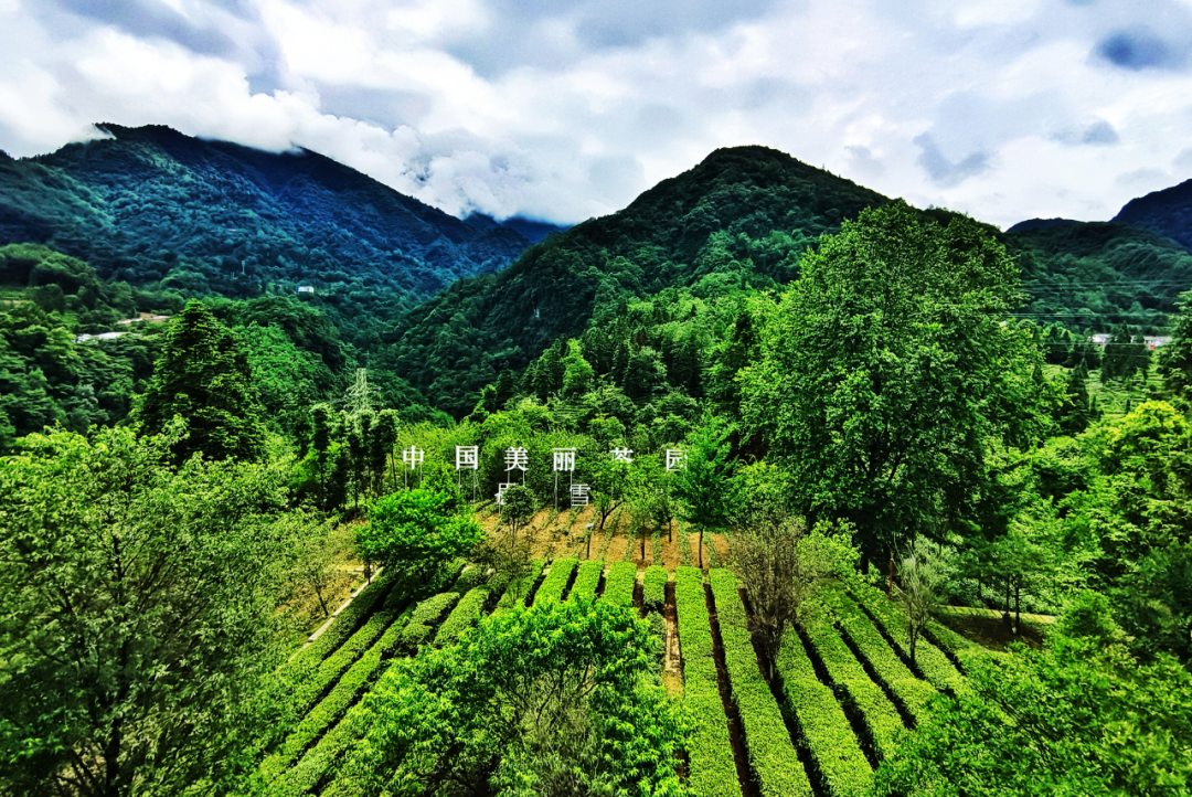 mg冰球突破(中国游)官方网站