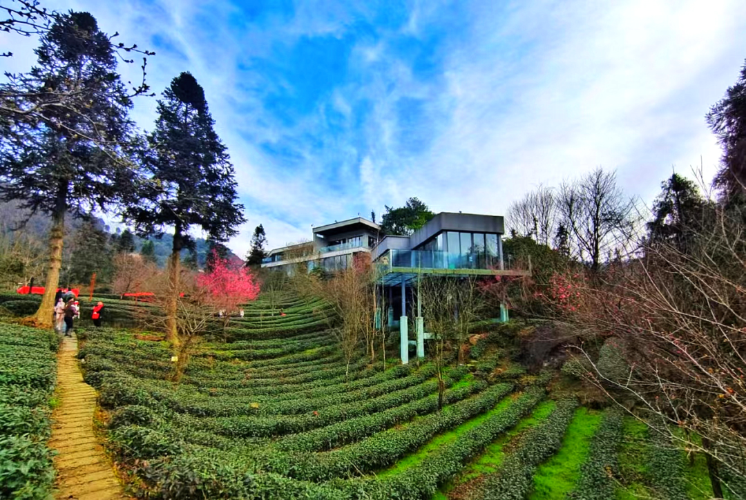 mg冰球突破(中国游)官方网站